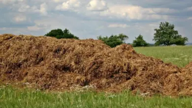 Velká hromada slámy na zelené louce pod oblohou.