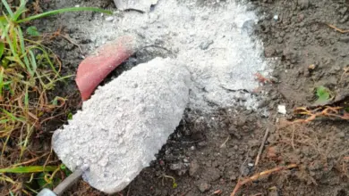 Dřevěný popel na půdě s kypřicí lžící pro papriky