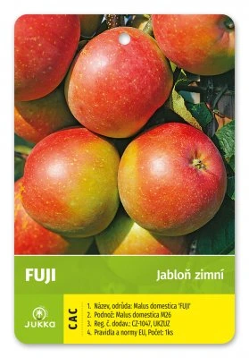 Fotografie červených jablek odrůdy Fuji na stromě s etiketou.