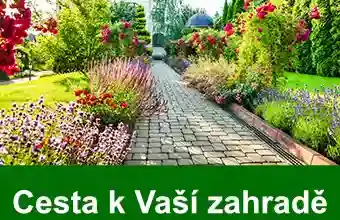 Kamenná cesta v zahradě s kvetoucími rostlinami vedoucí k domu.