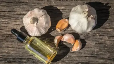 celá hlava česneku s loupkami a lahvičkou oleje na dřevě