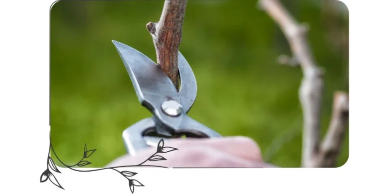 Ruční nůžky prořezávají větev vinné révy na pozadí zeleného listí.