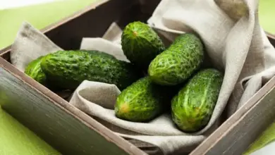 Cucumbers in wooden box