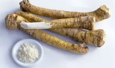 Křenu s kořenem a mletou křenovou směsí