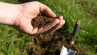 Ruka drží půdu s lopatkou v pozadí na trávníku.