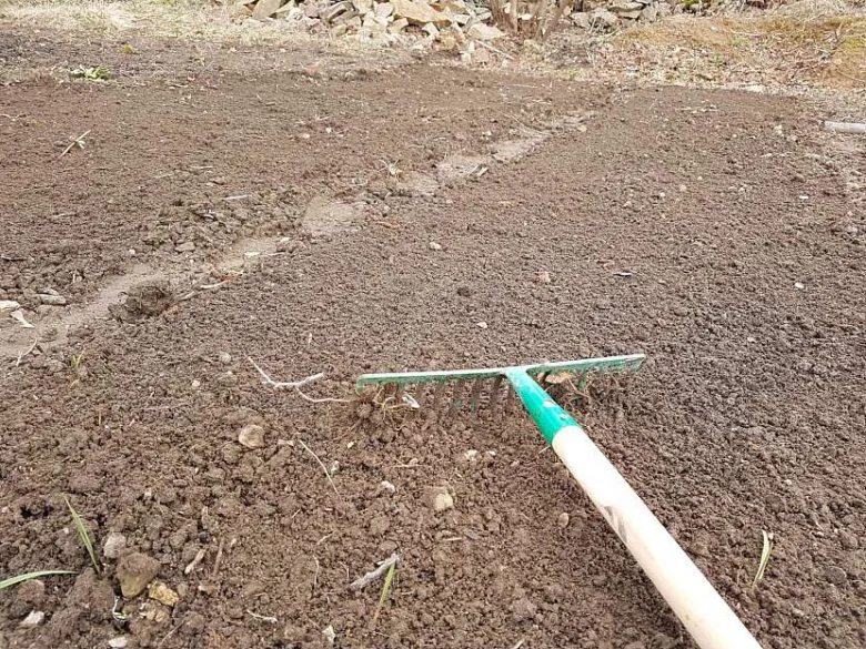 Zelený zahradní hráb urovnává tmavou půdu na záhonu.