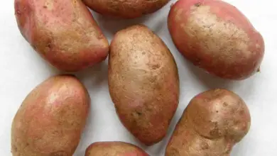 Skupina brambor s prasklinami na bílém pozadí.