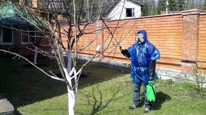 Zahrádník v ochranném obleku postřikuje jabloně.