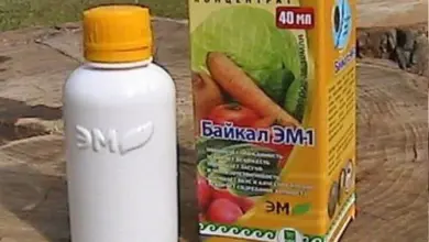 Bílá lahvička s koncentrátem Baikal EM1 a žlutý krabice vedle ní.