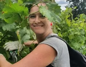 Žena řezá vinnou lозí na zahradě.