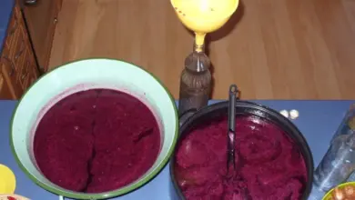 Fermentované hroznové šťávy v nádobách s lžící na míchání.